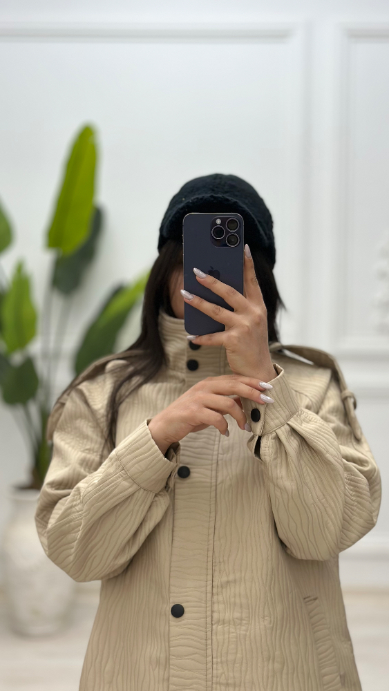 بامبر بارونی دنیز